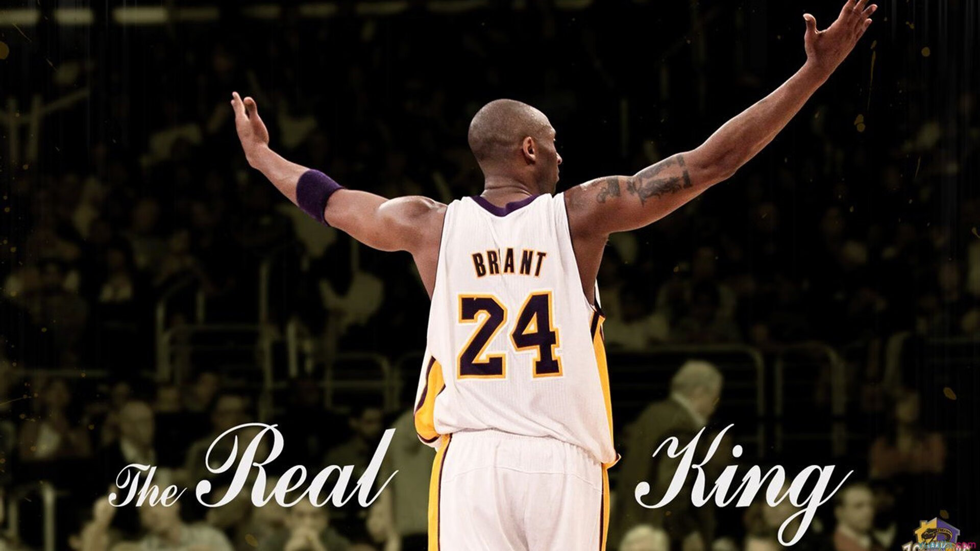 雷速直播-数据爆炸之夜，利拉德狂飙难救主，骑士逆转掘金诠释团队力量