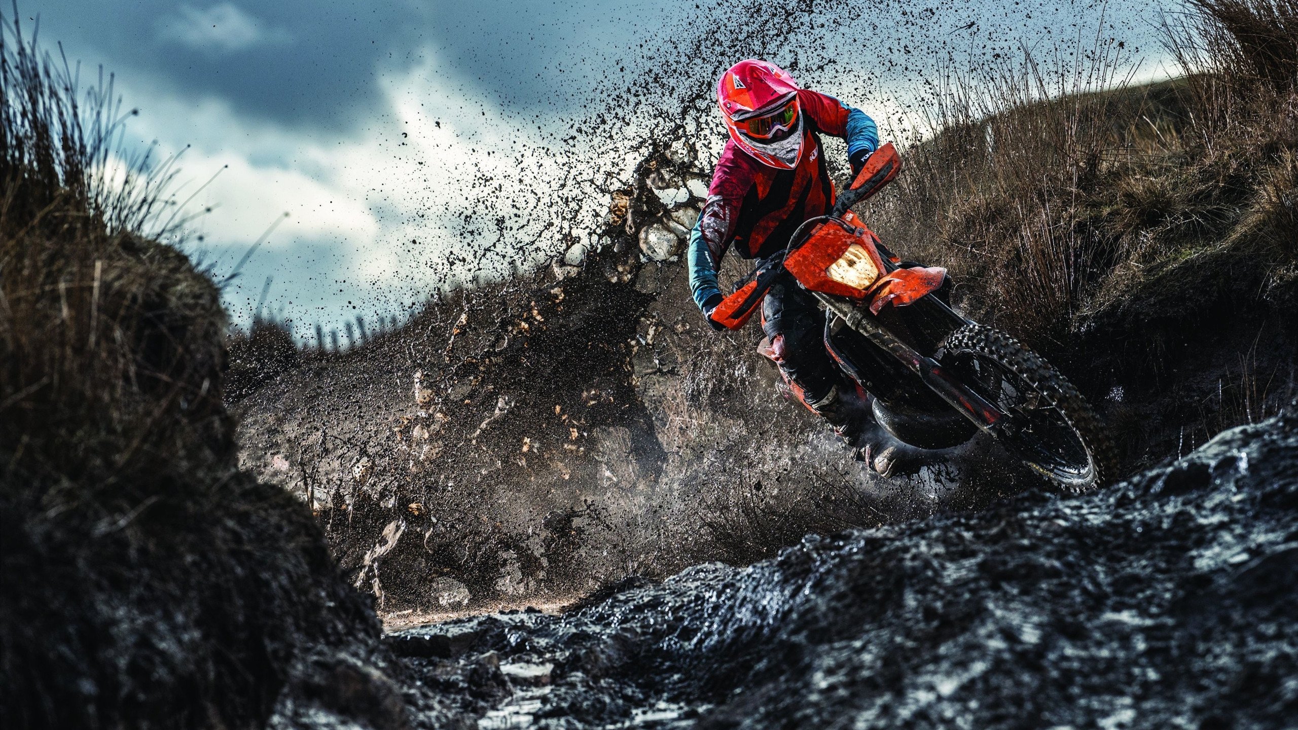 活塞奇兵乔治,关键一球定江山,辽宁队主场神话破灭